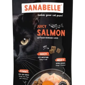 Sanabelle Juicy Lachs 40 g Jetzt Kaufen
